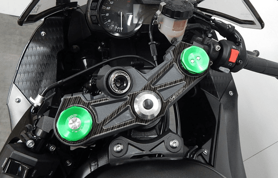 PPSK14P ONEDESIGN yoke protector for zx-6r