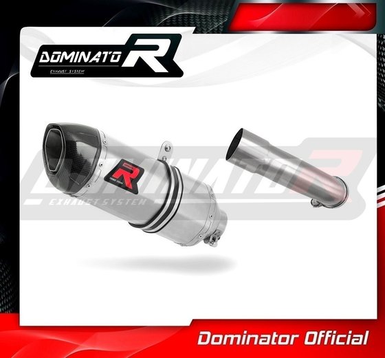 KT061DF-S Dominator exhaust silencer hp1