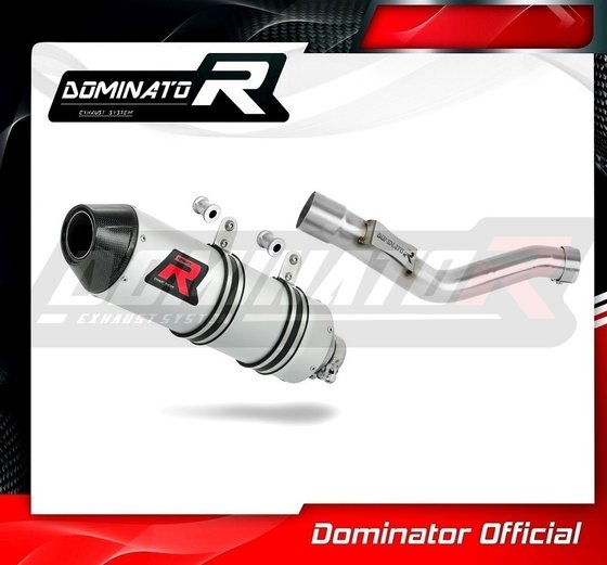 YA137DF-S Dominator exhaust silencer mx2