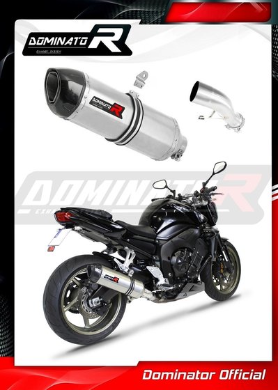 YA020DF-S Dominator exhaust silencer hp1