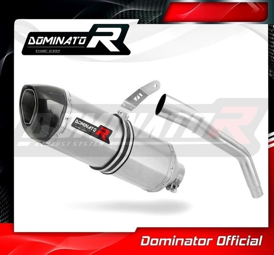 TR007DF-S Dominator exhaust silencer hp1