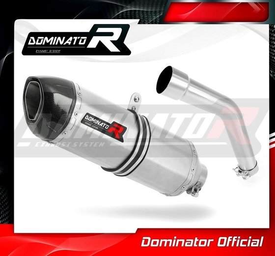 KA024DF-S Dominator exhaust silencer hp1