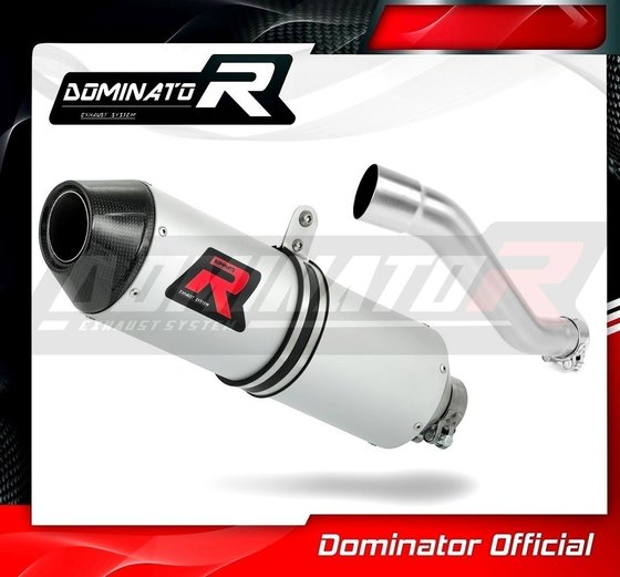 YA014DE-S Dominator exhaust silencer mx2