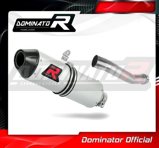 HO102DE-S Dominator exhaust silencer mx2