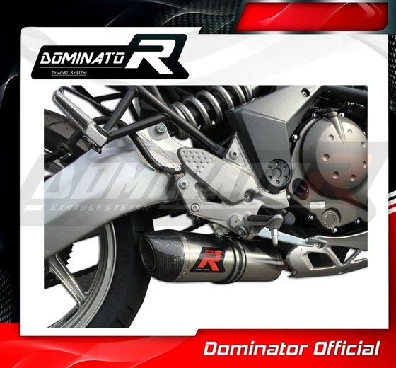 KA010DF-S Dominator exhaust silencer hp2