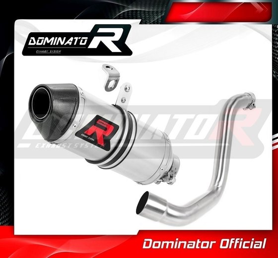 KT057DF-S Dominator exhaust silencer hp3