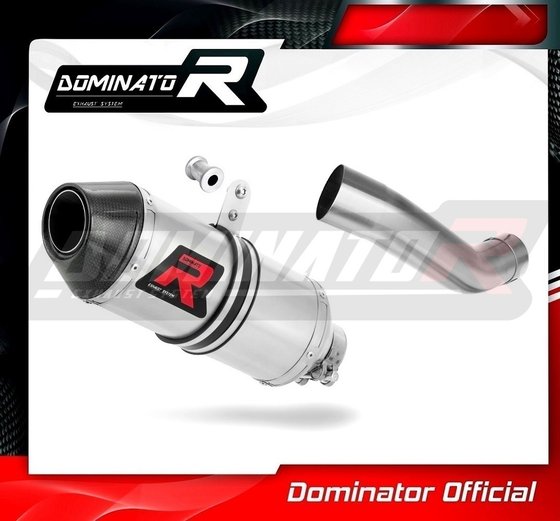 TR018DF-S Dominator exhaust silencer hp3