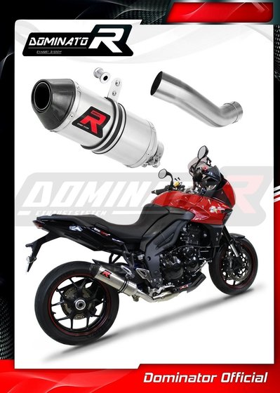 TR018DF-S Dominator exhaust silencer hp3