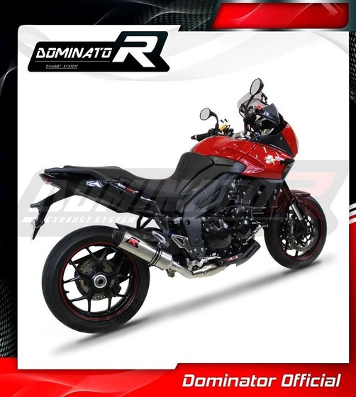 TR018DF-S Dominator exhaust silencer hp3