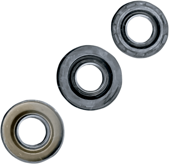 622402 Vertex engine oil seal kit