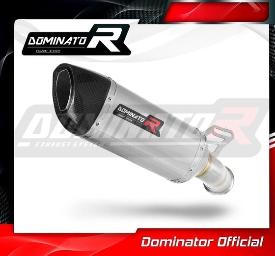 KT065DF-S Dominator exhaust silencer hp6