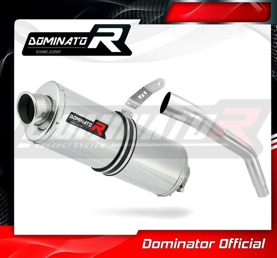 TR008DA-S Dominator exhaust silencer oval