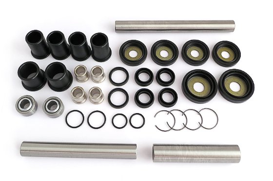 WE331035 EPI rebuild kit for rear independent suspension