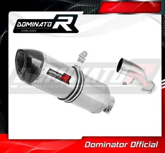 YA020DF-H Dominator homologated exhaust silencer hp1