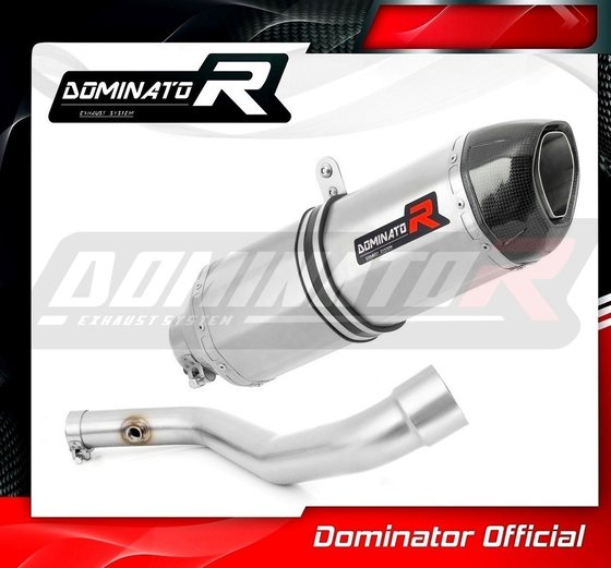 BW008DF-S Dominator exhaust silencer hp1