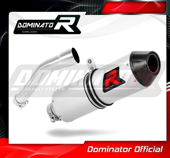 BW074DF-S Dominator exhaust silencer mx2