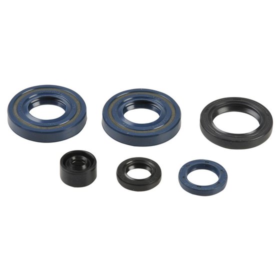 P400250400061 ATHENA engine oil seals kit