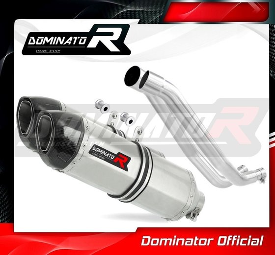 YA065DF-S Dominator exhaust silencer hp1