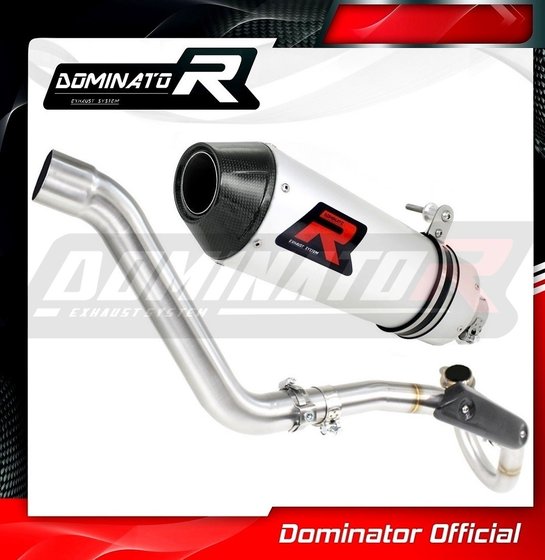 HO056DE-S Dominator exhaust silencer mx2 + head pipe