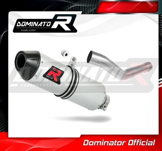 YA108DE-S Dominator exhaust silencer mx2