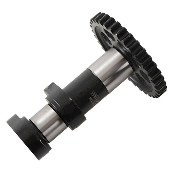 HC 3307-E Hot Cams camshaft