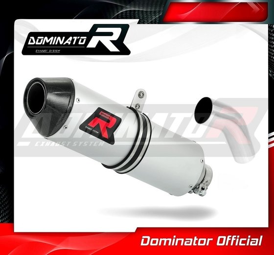 HO058DE-S Dominator exhaust silencer mx2