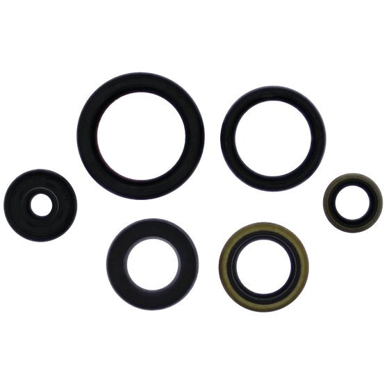 822995 Vertex engine oil seal kit