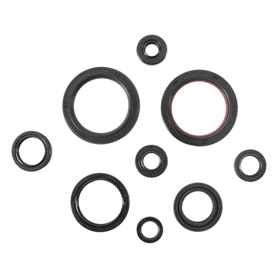 822989 Vertex engine oil seal kit