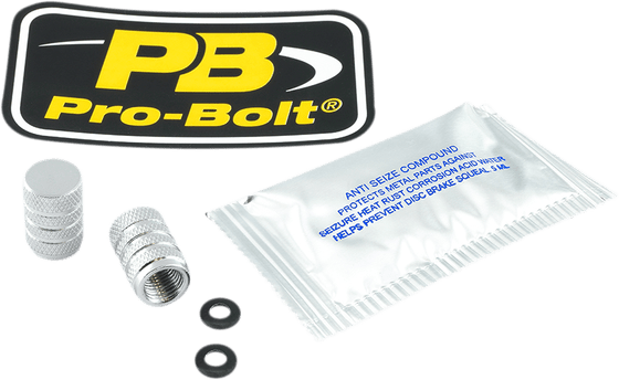 2DCAP10S PRO BOLT aluminium valve dust cap pack x2 silver