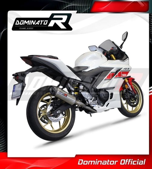 YA147DF-S Dominator full exhaust system silencer hp8