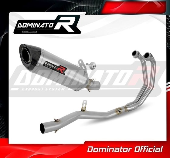 YA147DF-S Dominator full exhaust system silencer hp8