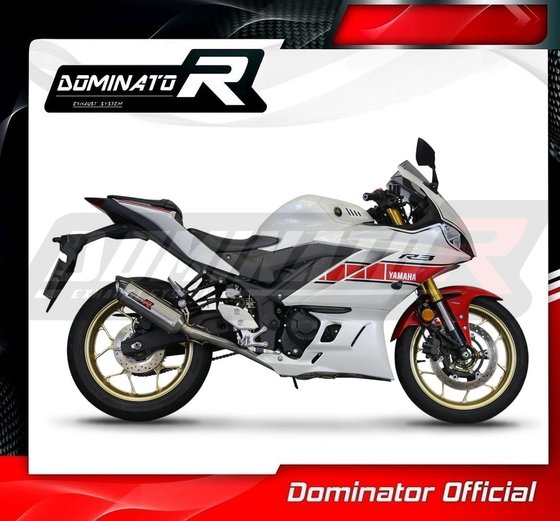 YA147DF-S Dominator full exhaust system silencer hp8