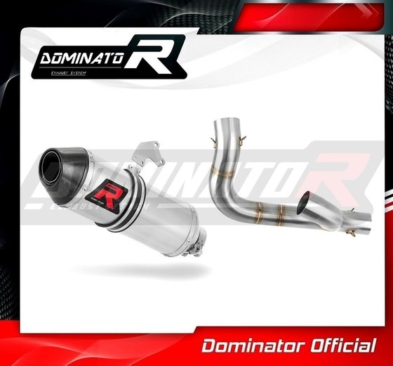 DU025DF-S Dominator exhaust silencer