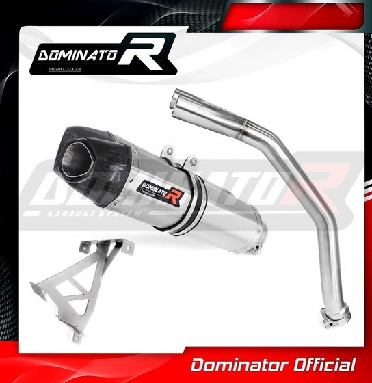 DU020DF-S Dominator exhaust silencer hp1