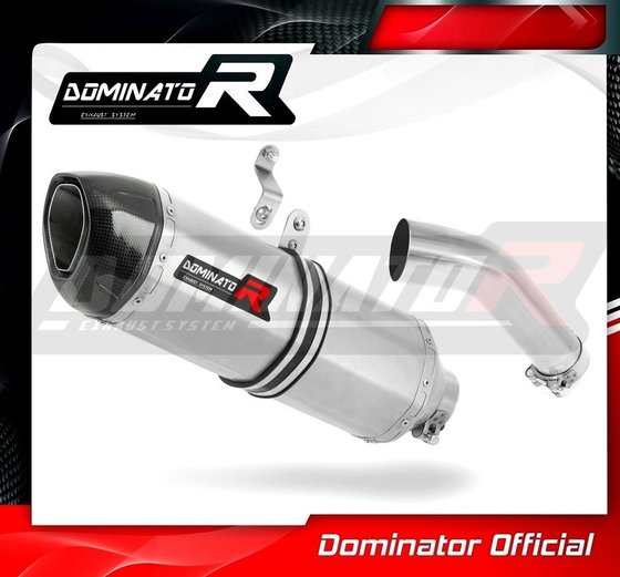 BW046DF-H Dominator homologated exhaust silencer hp1