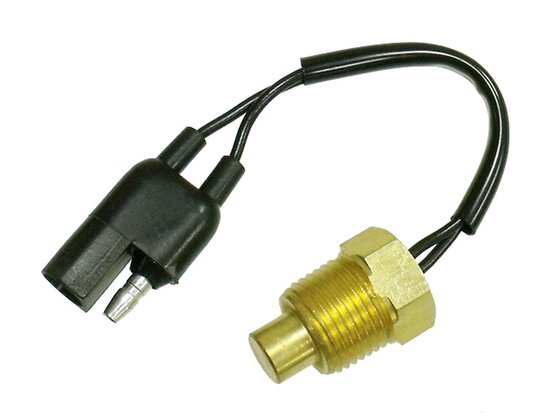 AT-01370 NACHMAN water temperature sensor