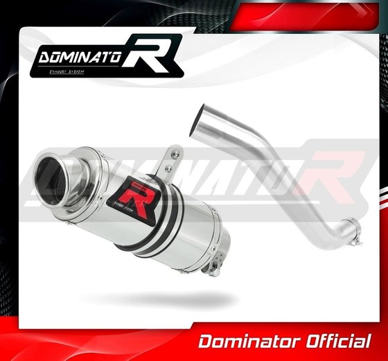 AP015DC-S Dominator exhaust silencer gp1