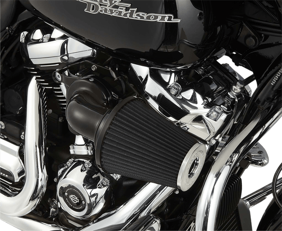 81-039 ARLEN NESS monster black air cleaner kit