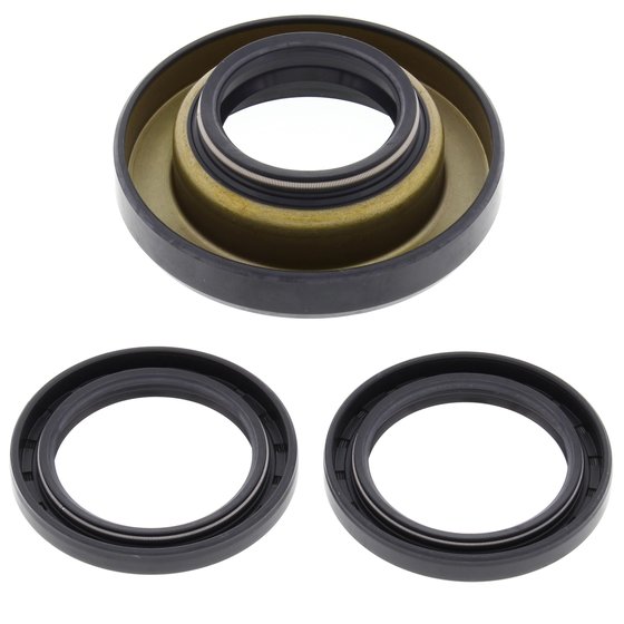 25-2013 All Balls differential bearing and seal kit rear