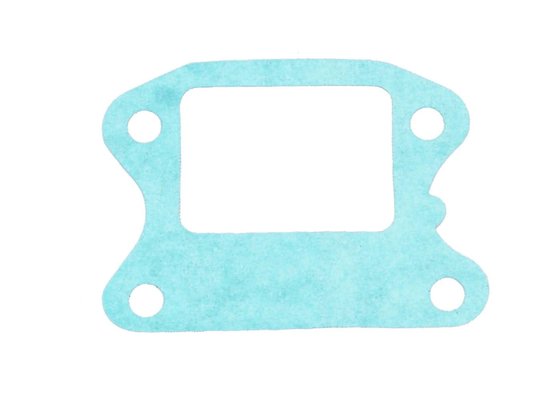 IP32905 101 OCTANE reed valve gasket