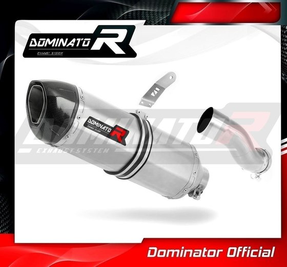 BW088DF-H Dominator homologated exhaust silencer hp1