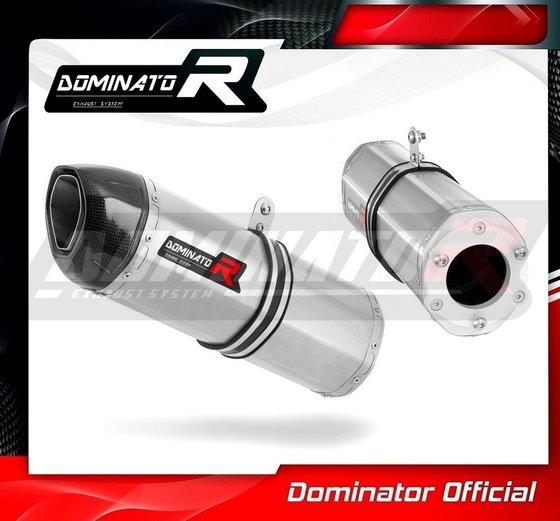 KA004DF-S Dominator exhaust silencer hp1