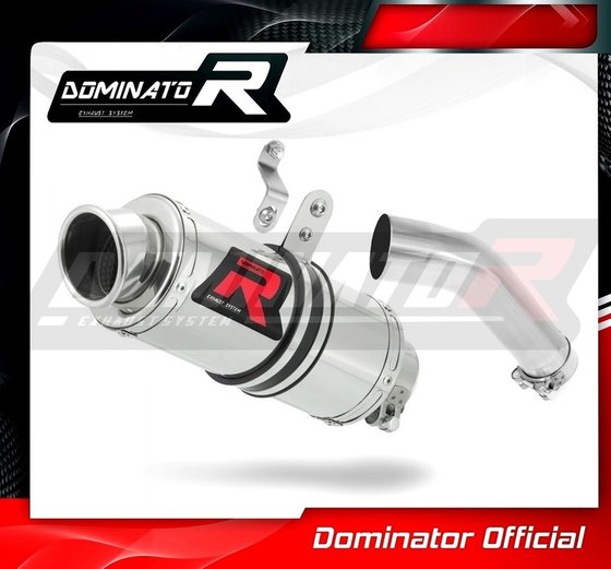 BW046DC-H Dominator homologated exhaust silencer gp1