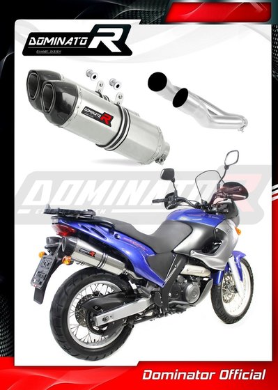 AP021DF-S Dominator exhaust silencer hp1